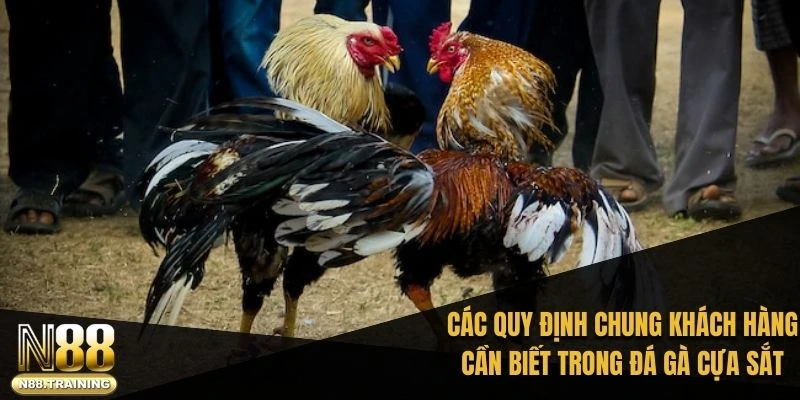 Đá Gà Cựa Sắt – Bí Quyết Chinh Phục Sân Chơi Giải Trí 2 Các quy định chung khách hàng cần biết trong đá gà cựa sắt
