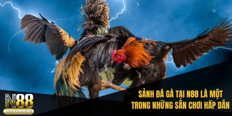 Sảnh đá gà tại N88 là một trong những sân chơi trực tuyến hấp dẫn